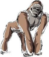 Clipart of Gorilla Monkey