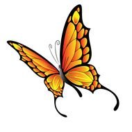 Free Butterfly Vector Art N3