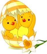 Easter Chick Clip Art N30