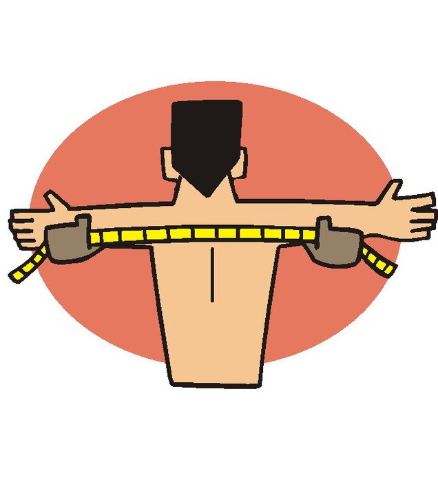 Measuring Clip Art N8