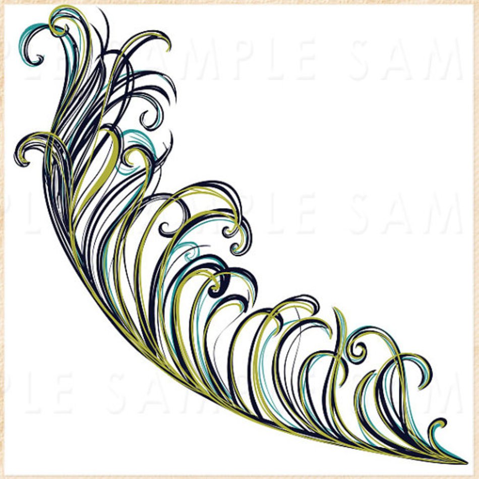 Peacock Feather Clip Art N24
