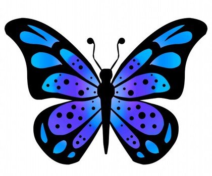 Butterfly Clip Art N129