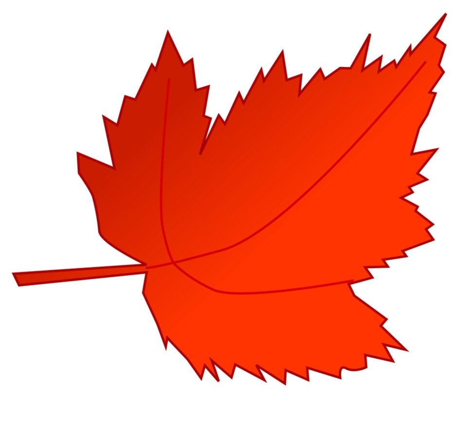Autumn Leaf as a picture for clipart