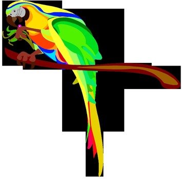 Macaw Parrot Clip Art N9