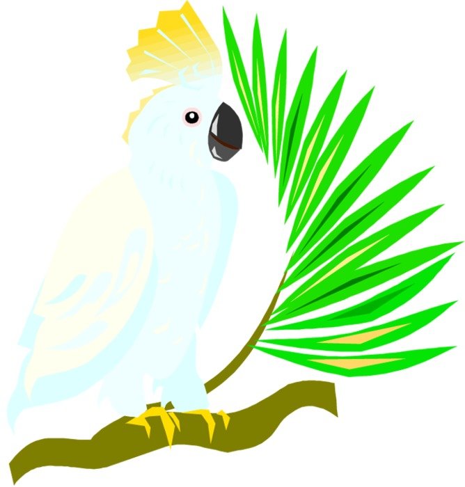 Macaw Parrot Clip Art N10