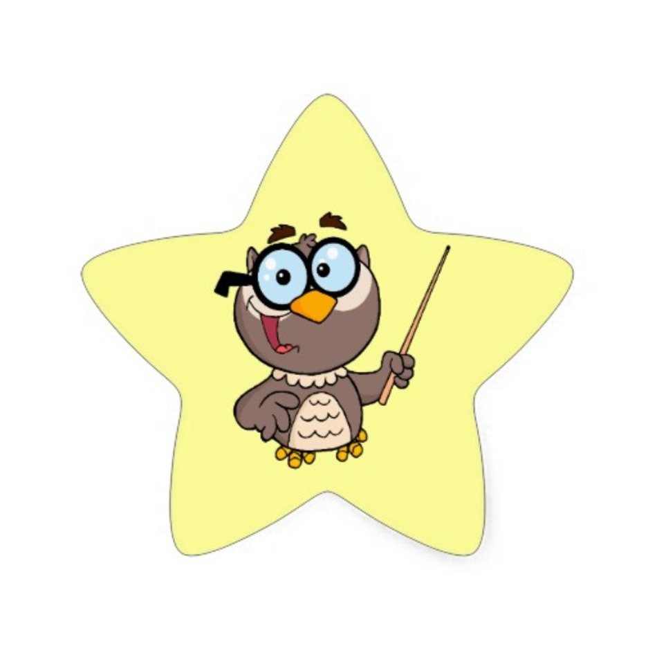 Cute Cartoon Owls N5