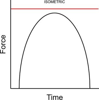 Isometric Muscle Contraction Graph