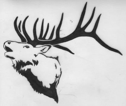Elk Head Drawings
