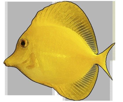 Tropical Fish Clip Art N52