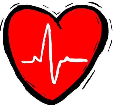 Cardiovascular System