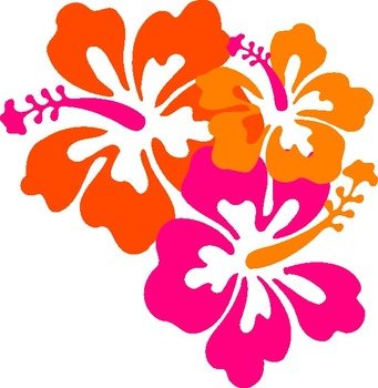 Orange Hibiscus Flower Clip Art