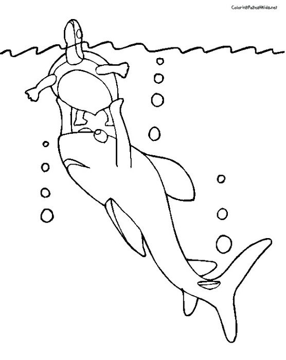 Shark Boy Coloring Pages free image download