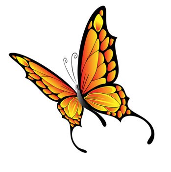 Free Butterfly Vector Art N3