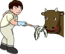 Animal Care Clip Art