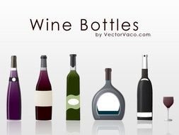 Wine Bottle Vector N2