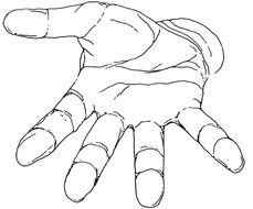 open palm as an illustration