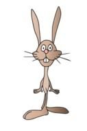 funny rabbit as an illustration