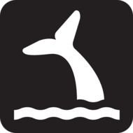 Whale Clip Art N46