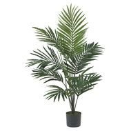 green Palm Tree Leaves drawing