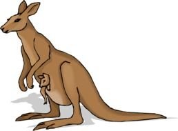Kangaroo Clip Art N37