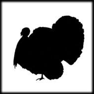 Turkey Hunting Clip Art N6