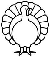 Turkey Coloring Pages N3