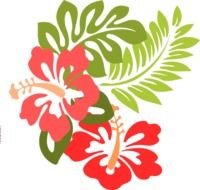Free Hibiscus Clip Art N4