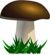 mushroom in green grass as a graphic illustration