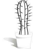 cactus in a pot as a graphic image