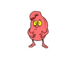 Stomach Clip Art N9