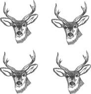 Deer Head Drawings N2