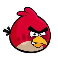 Angry Bird as a graphic illustration