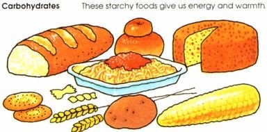 Carbohydrates Foods, bakery, drawing