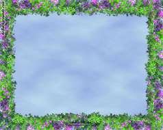 border with green leaves and purple flowers