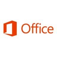 Microsoft Office 2013 Logo