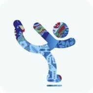 2014 Winter Olympics Sochi N2