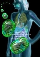 Bird Flu Virus Or Avian Influenza H5N1 Pandemic