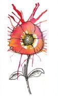nice red Poppy Flower