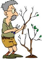 Tree Pruning Clip Art N4