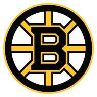 Boston Bruins Logo N6