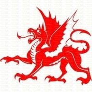 Welsh Dragon N3