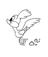 Baby Road Runner Clip Art