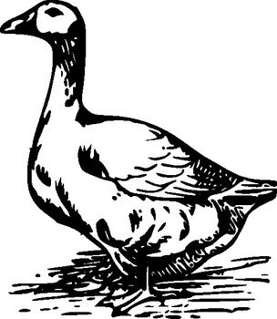 Goose Clip Art Black And White N6