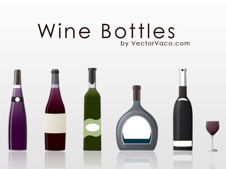 Wine Bottle Vector N2