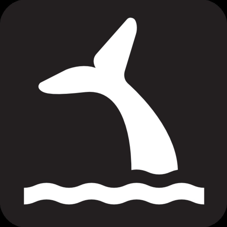 Whale Clip Art N46