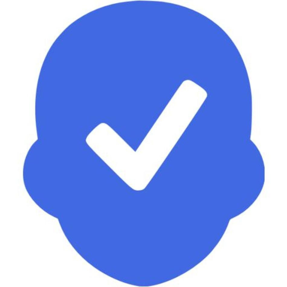 Blue Check Mark Icon N3