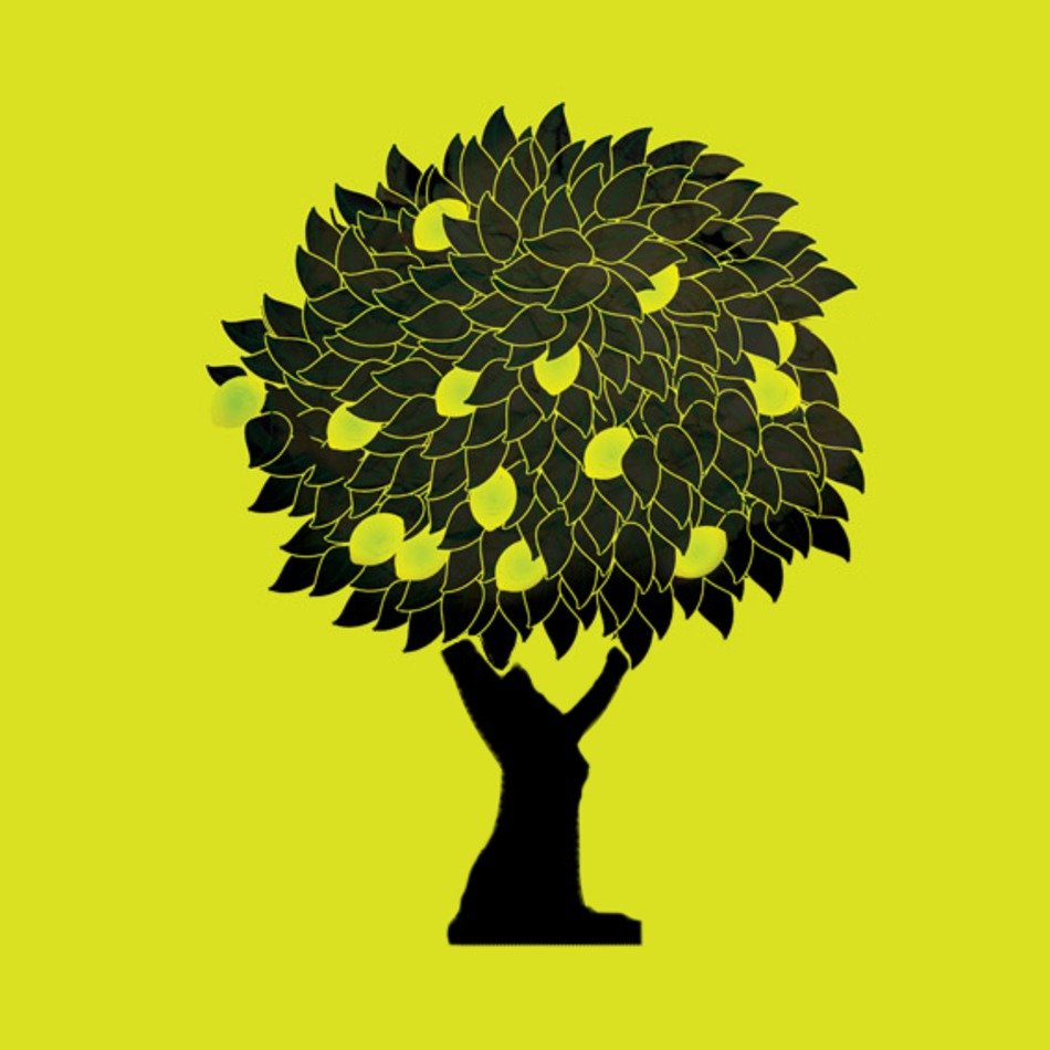 Lemon Tree N5