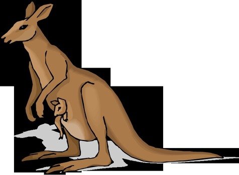 Kangaroo Clip Art N37