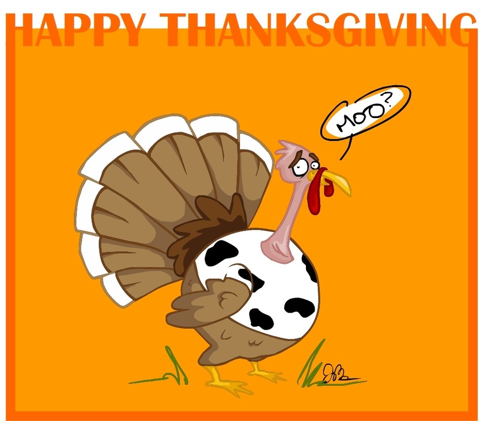 Animated Turkey drawing