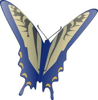 Butterfly Clip Art N132